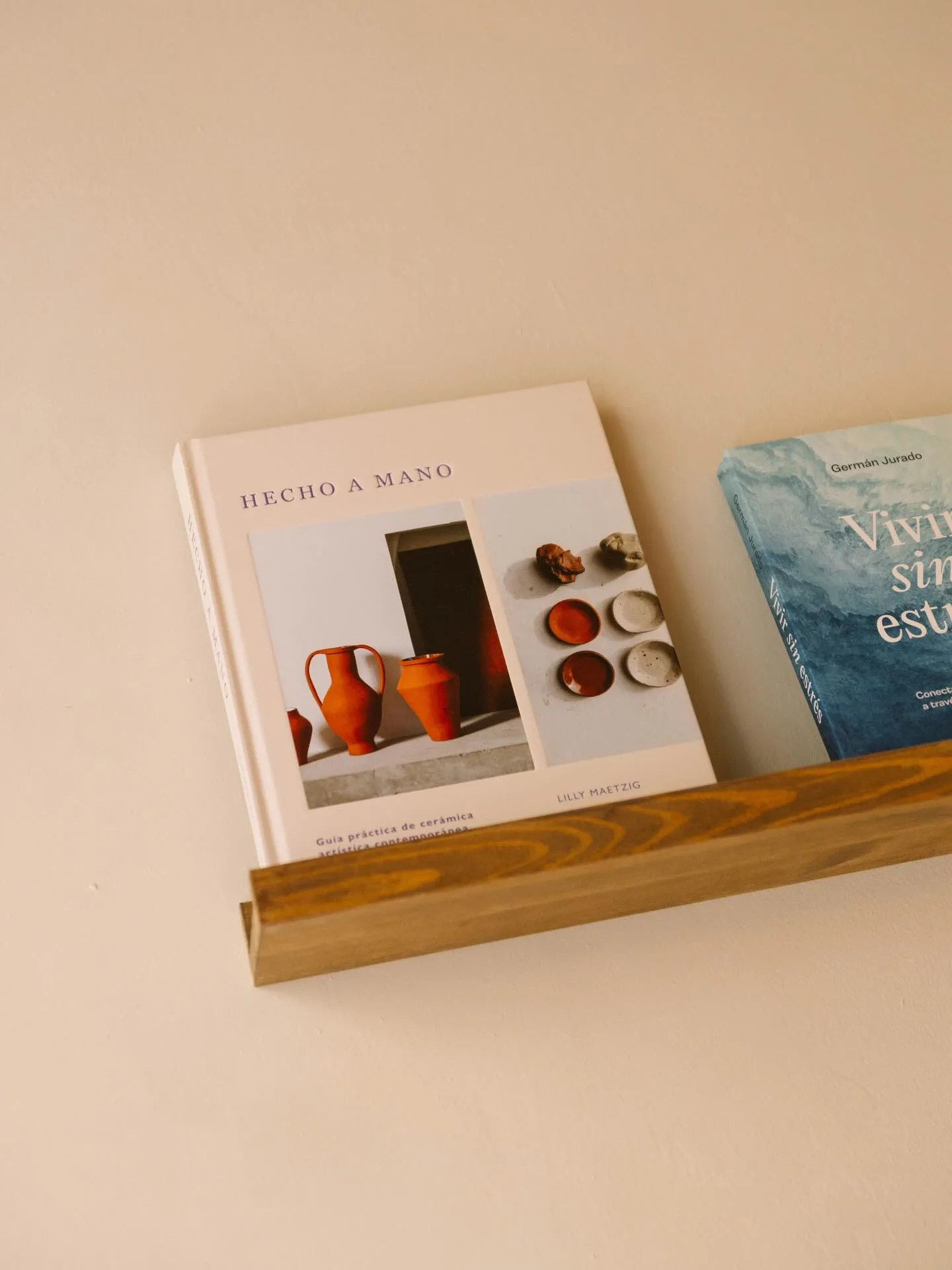 Libros escogidos en una balda de madera