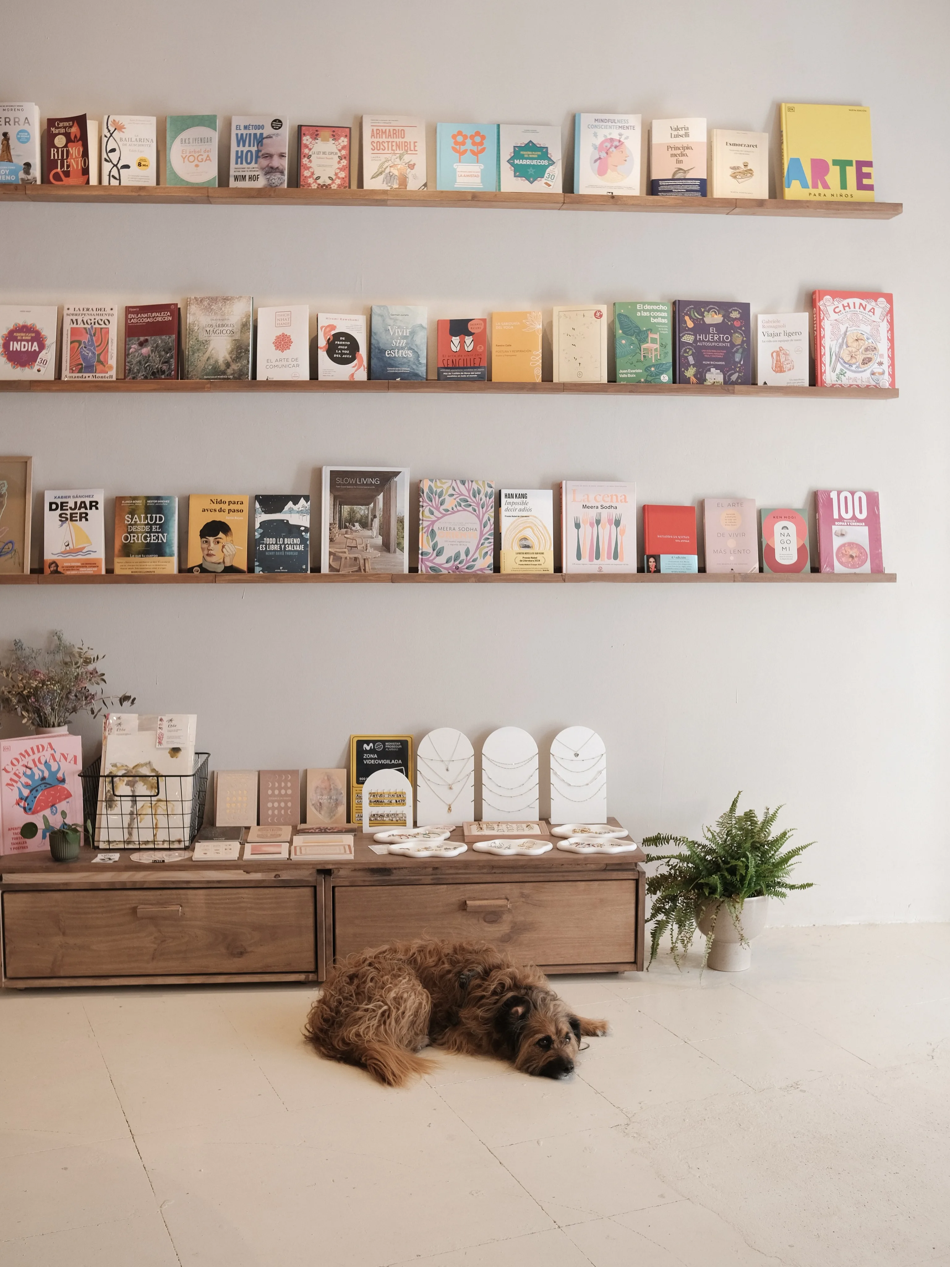 Libros y objetos expuestos en la zona de tienda de Casa Lenta