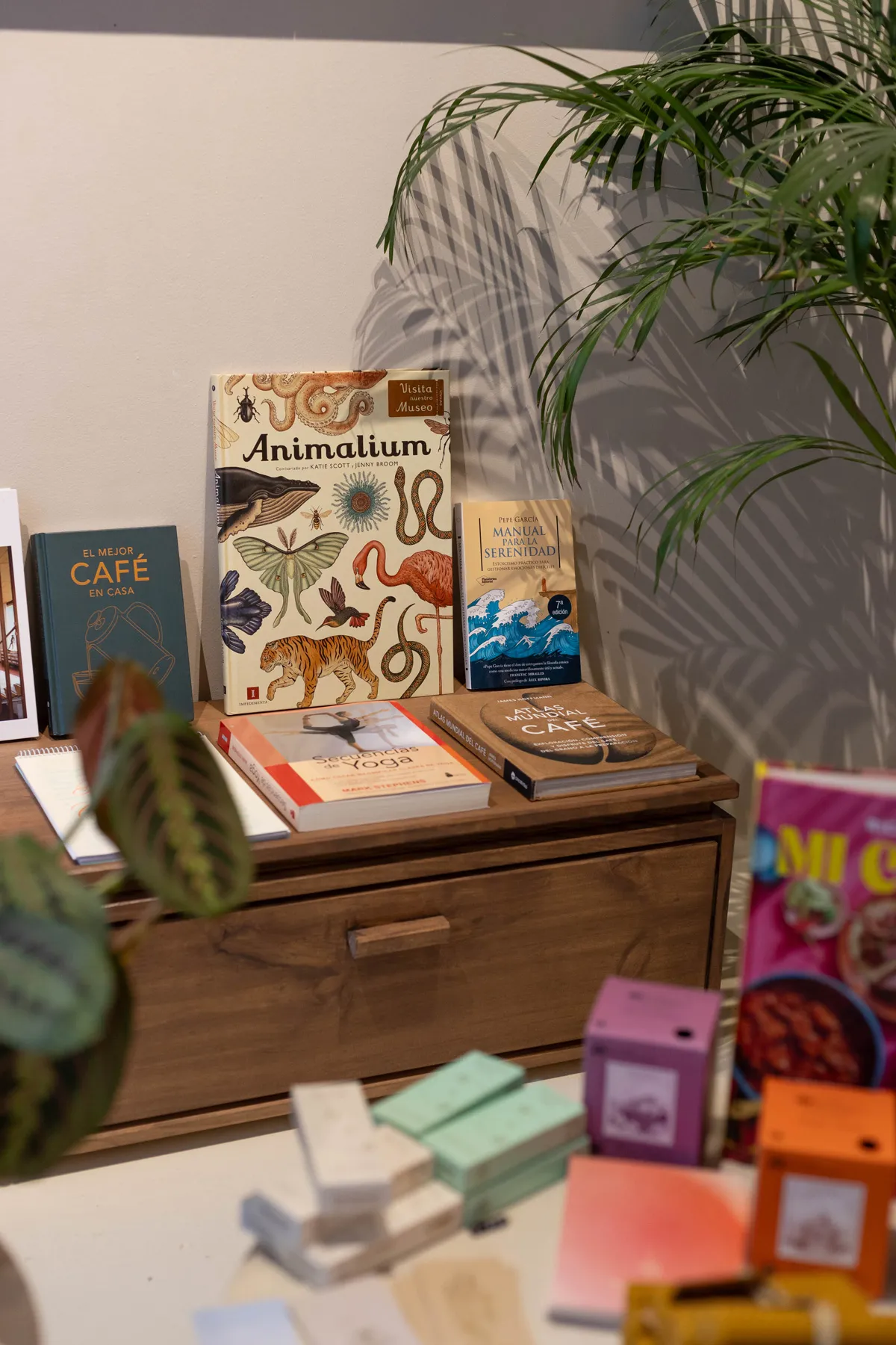 Selección de libros y objetos en la tienda de Casa Lenta
